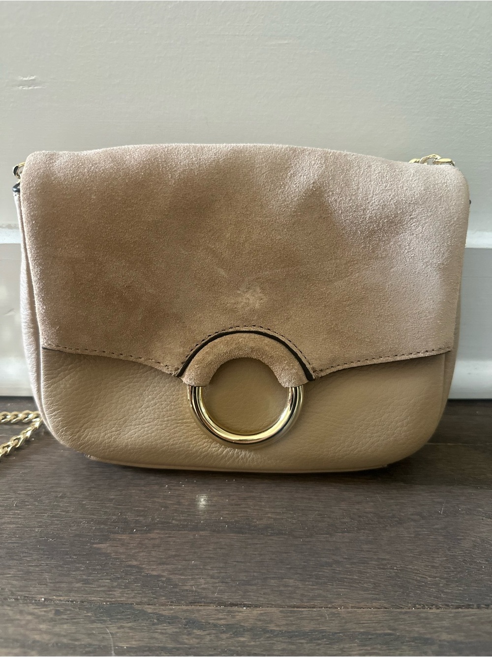 Vince Camuto Suede & Leather Beige Crossbody Bag with Gold Ring Accent